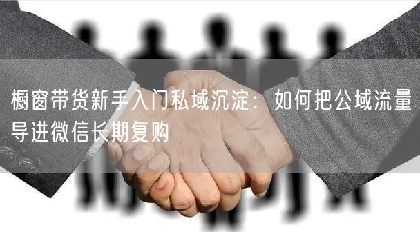 橱窗带货新手入门私域沉淀：如何把公域流量导进微信长期复购